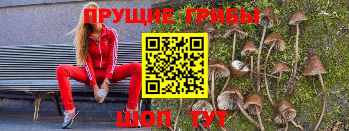 Галлюциногенные грибы Psilocybe  Вход с VPN  Ишимбай  Псилоцибиновые грибы Cubensis 